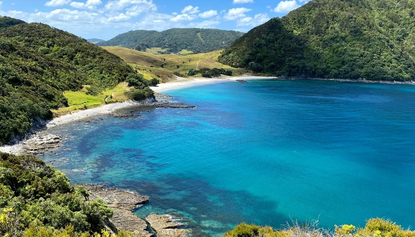 beautiful bream head hike beautiful bream head hike