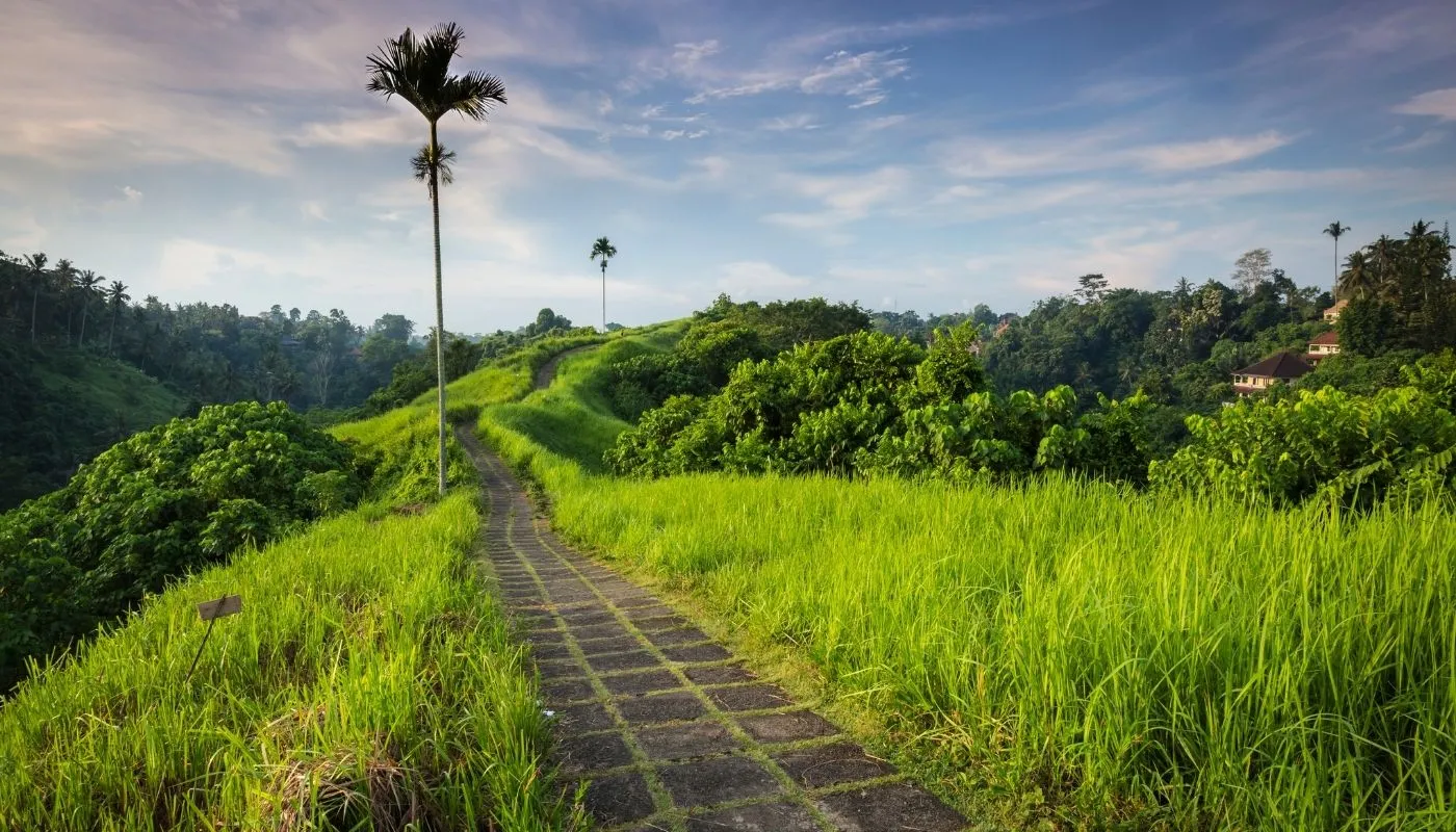 campuhan ridge walk beautiful hiking trails campuhan ridge walk beautiful hiking trails