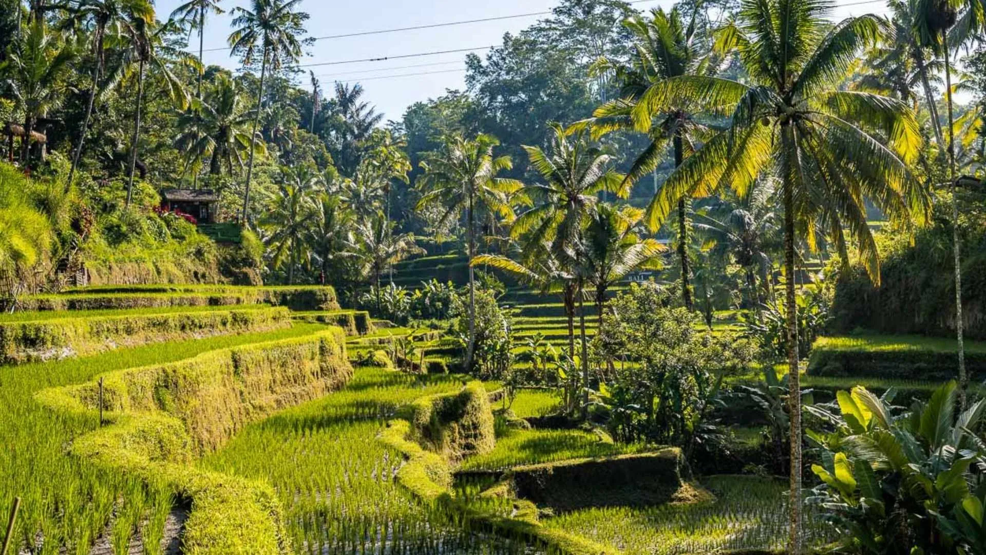 scenic islands Bali scenic islands Bali