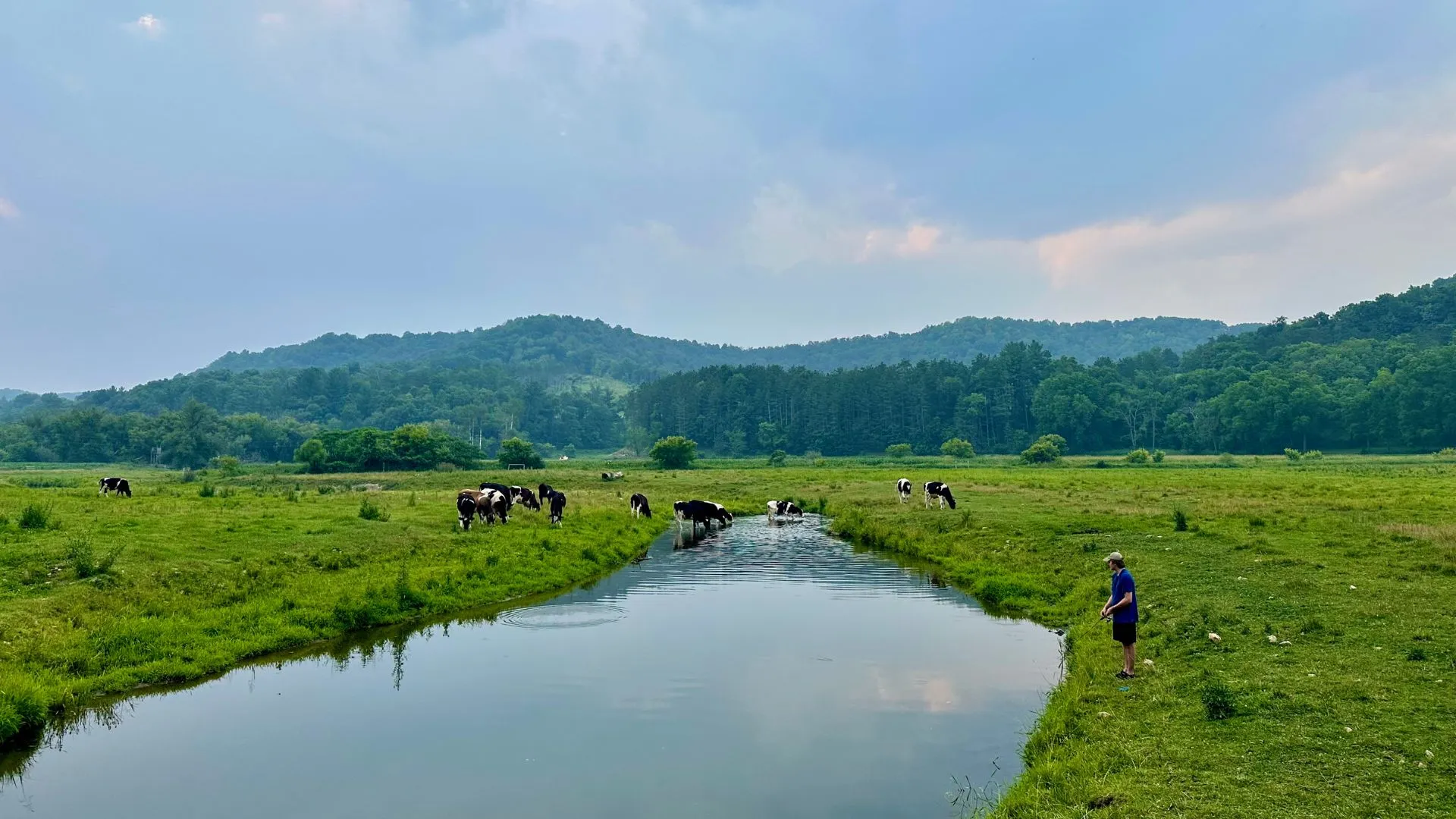 Driftless Fishing