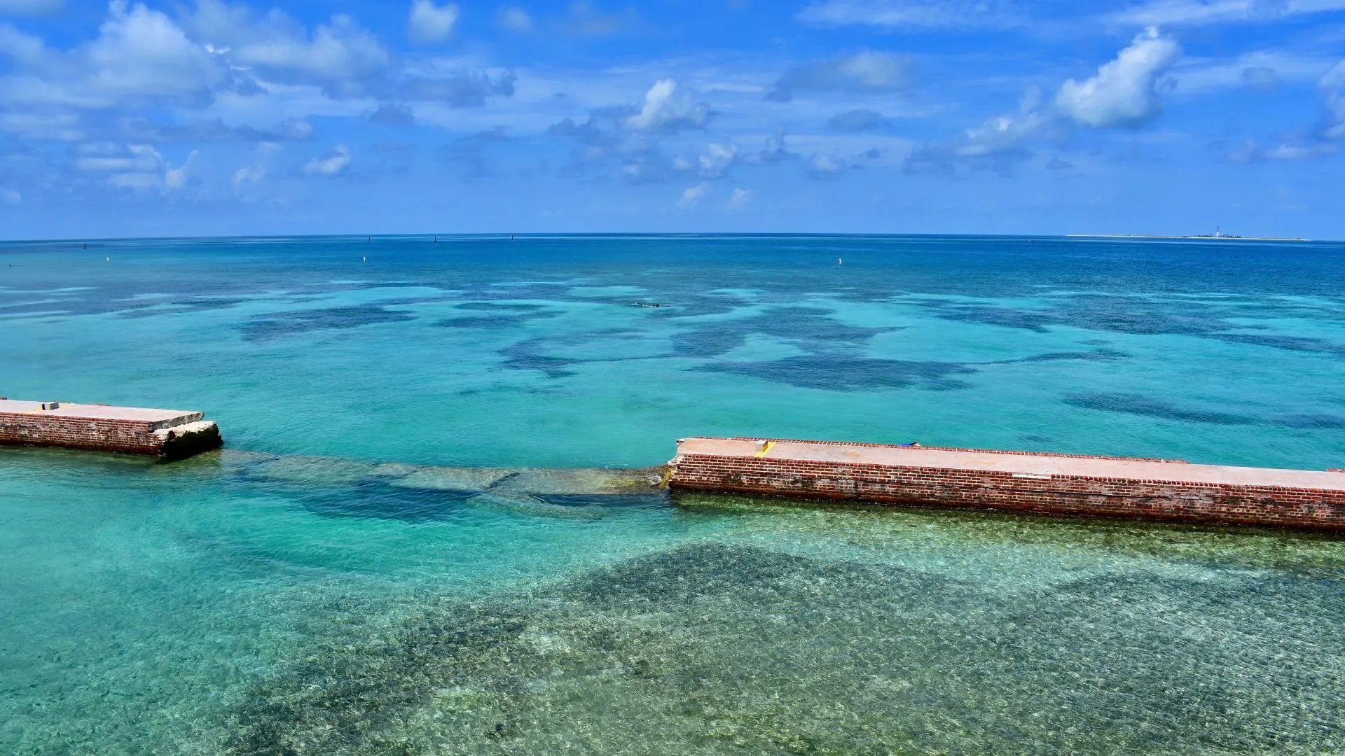 Dry Tortugas National Park snorkeling Dry Tortugas National Park snorkeling