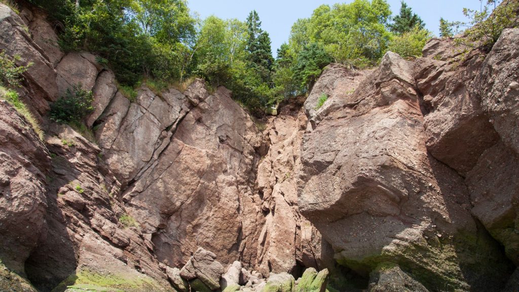 Hopewell Rocks: Unveiling The Best Tides, Kayaking & More!