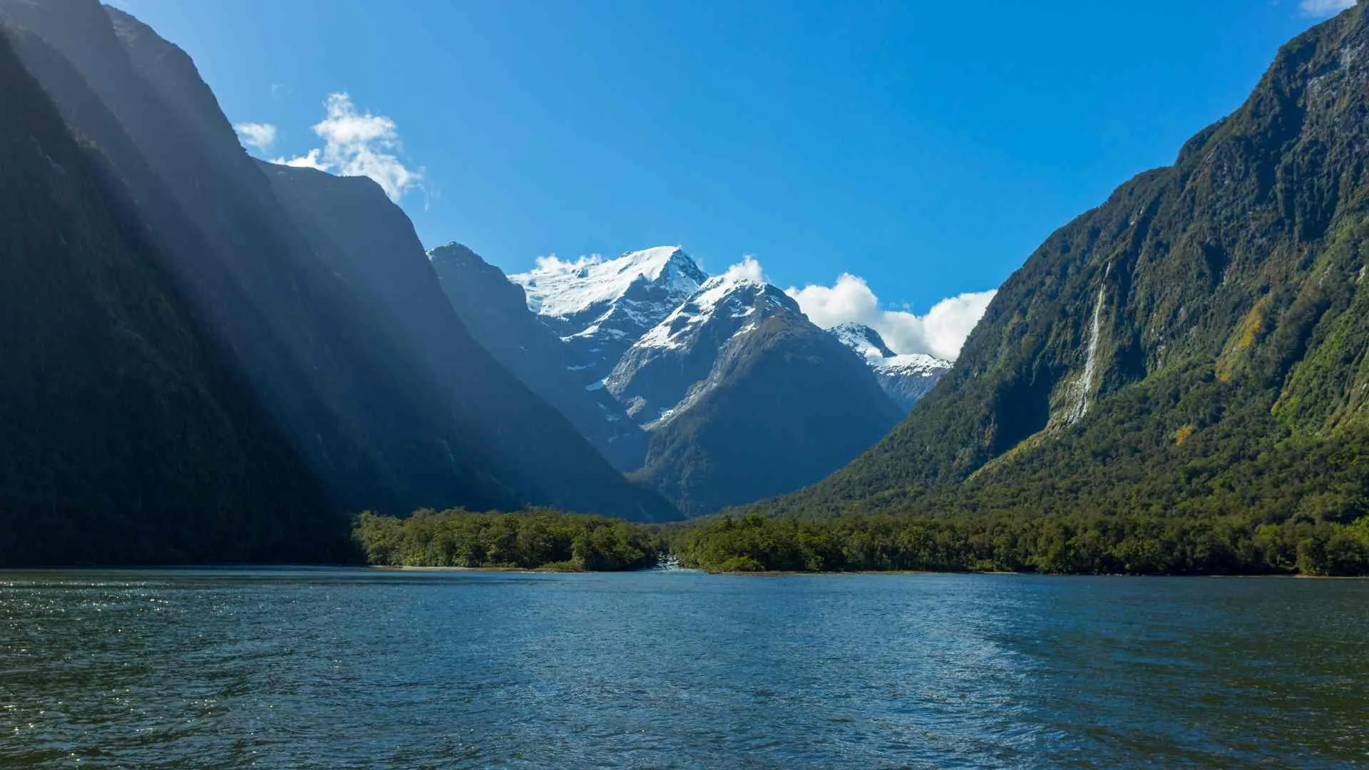 Milford Sound Cruising (13) Milford Sound Harrison Cove