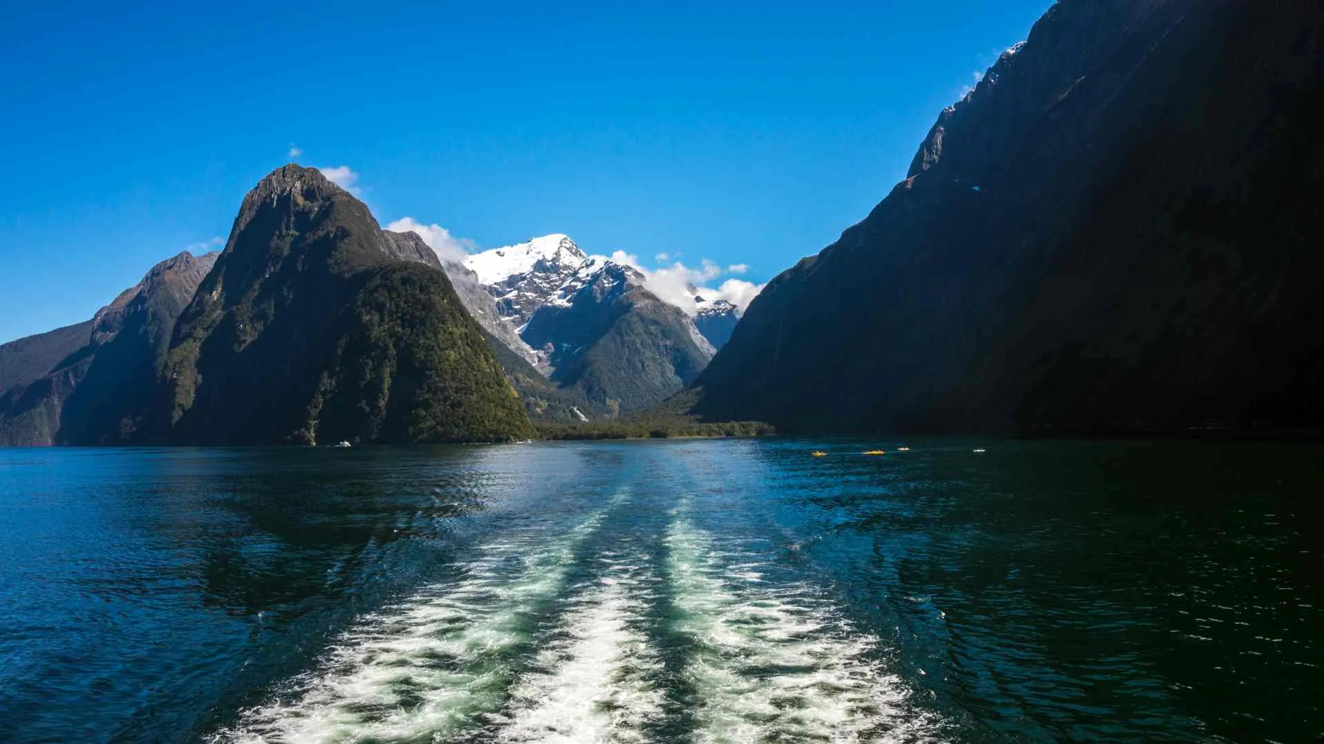 Milford Sound Cruising (2) leaving Milford Sound