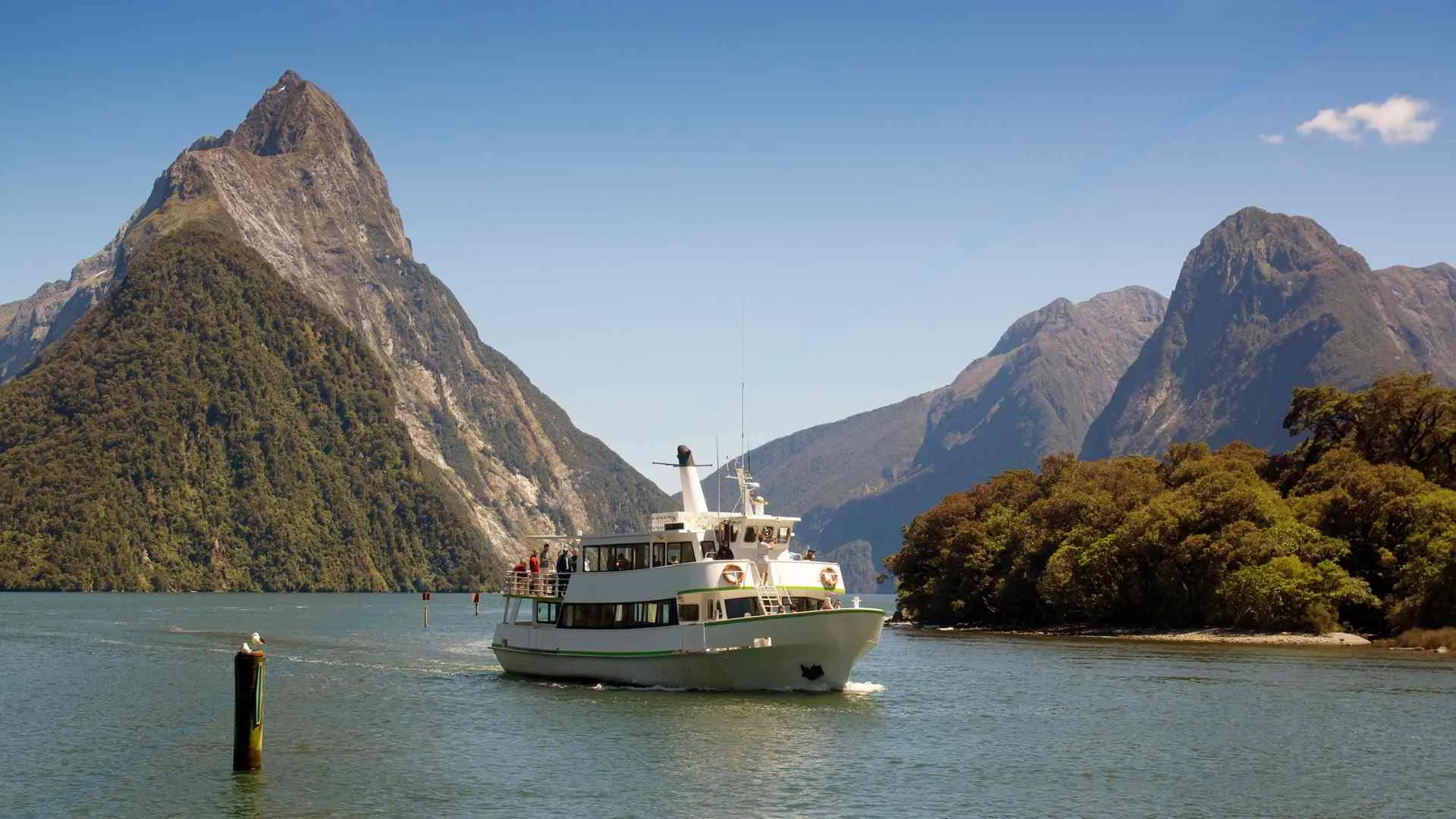 Milford Sound Cruising (7) Boat near Milford Sound