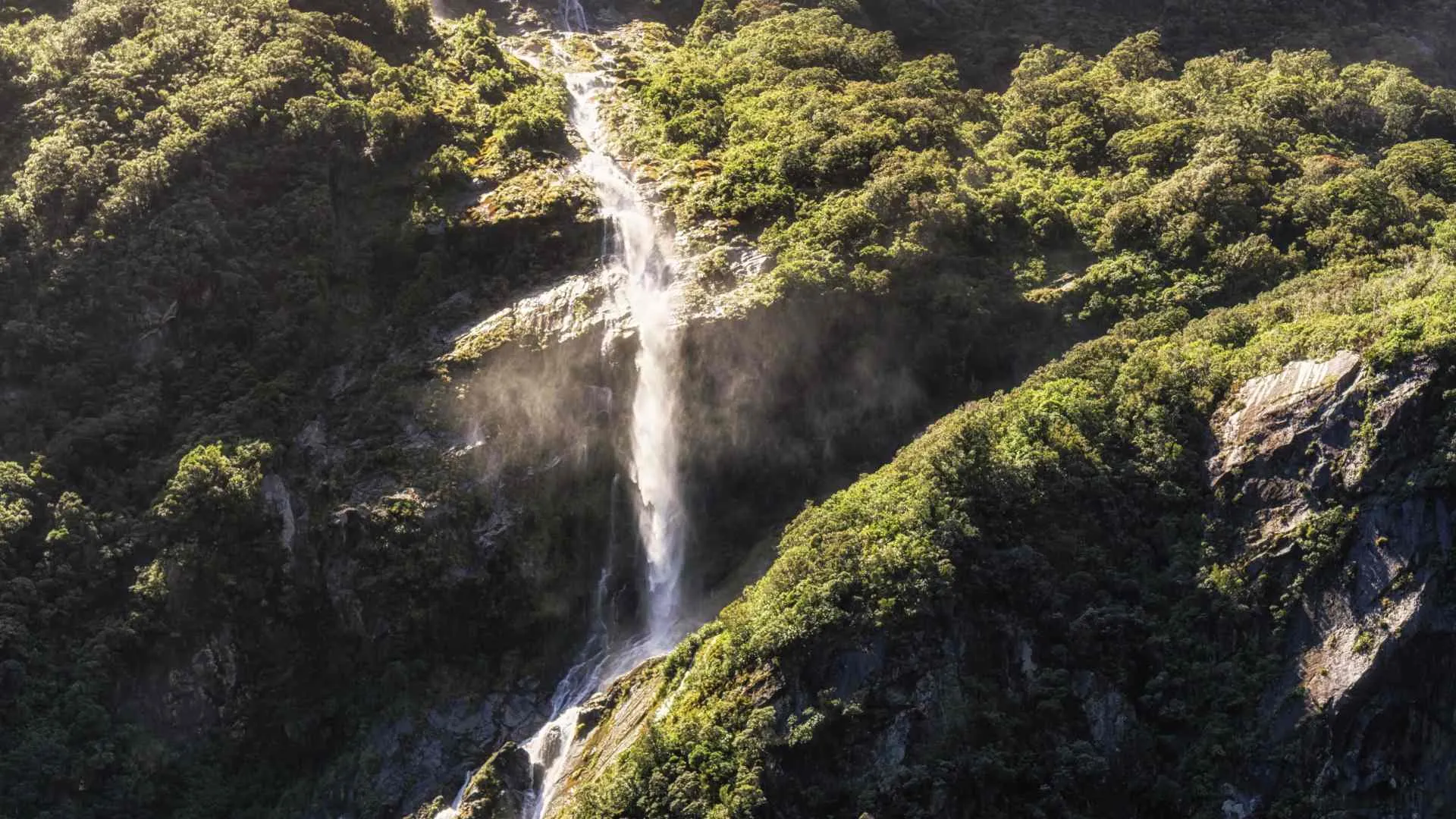 Milford Sound Cruising (8) Milford Sound Waterfall