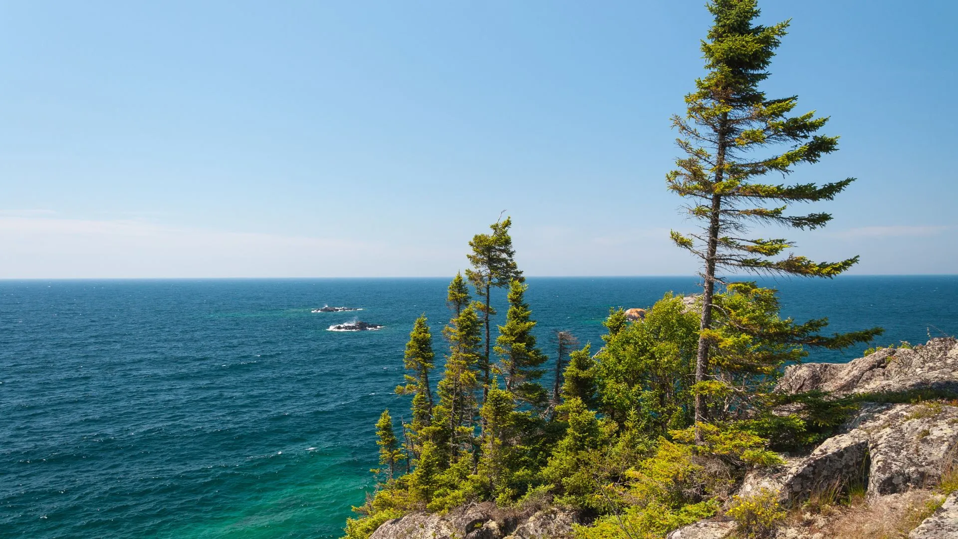 lake superior fihing charters