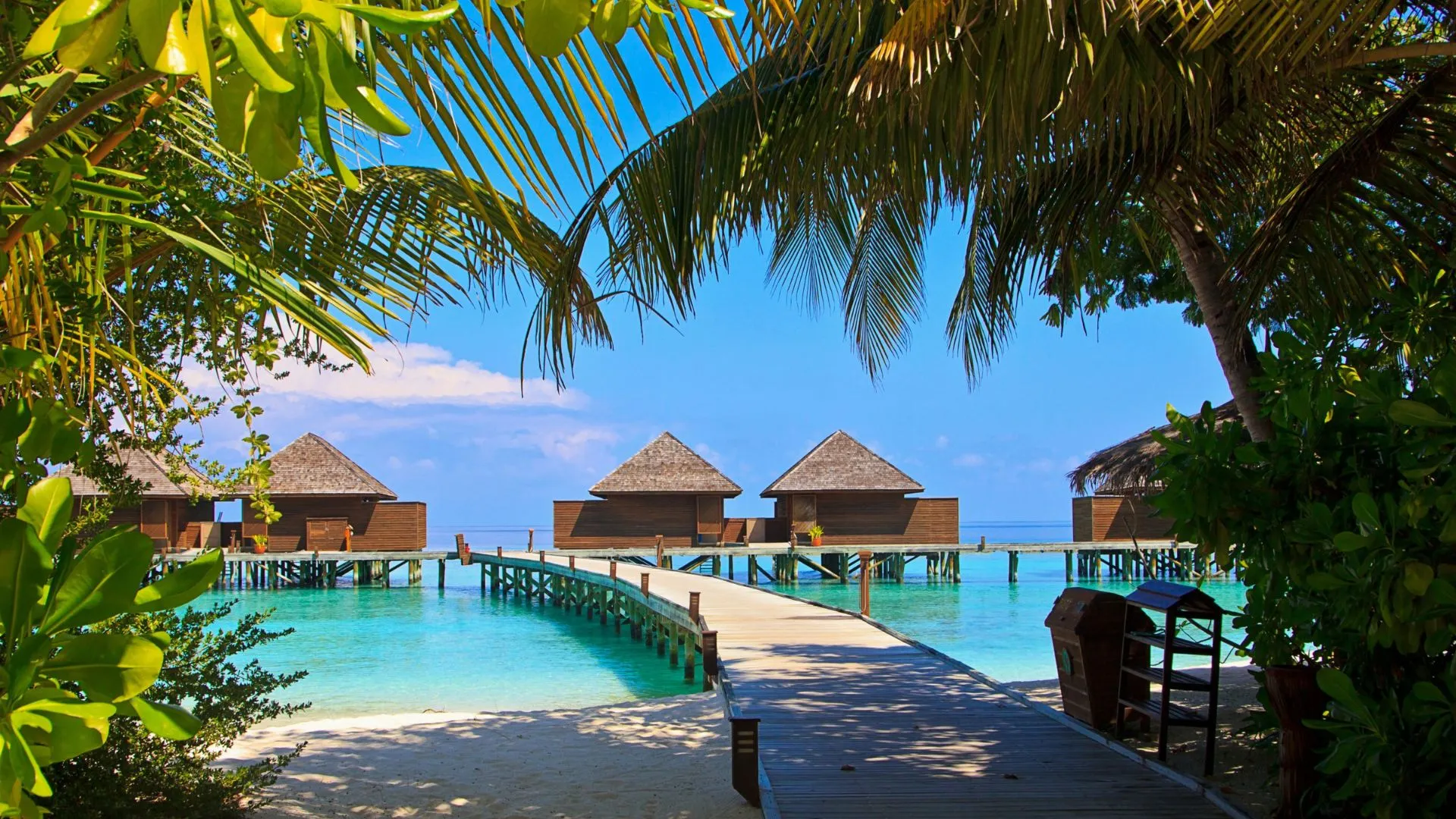 best overwater bungalows in Malaysia (4) Gayana Eco Resort