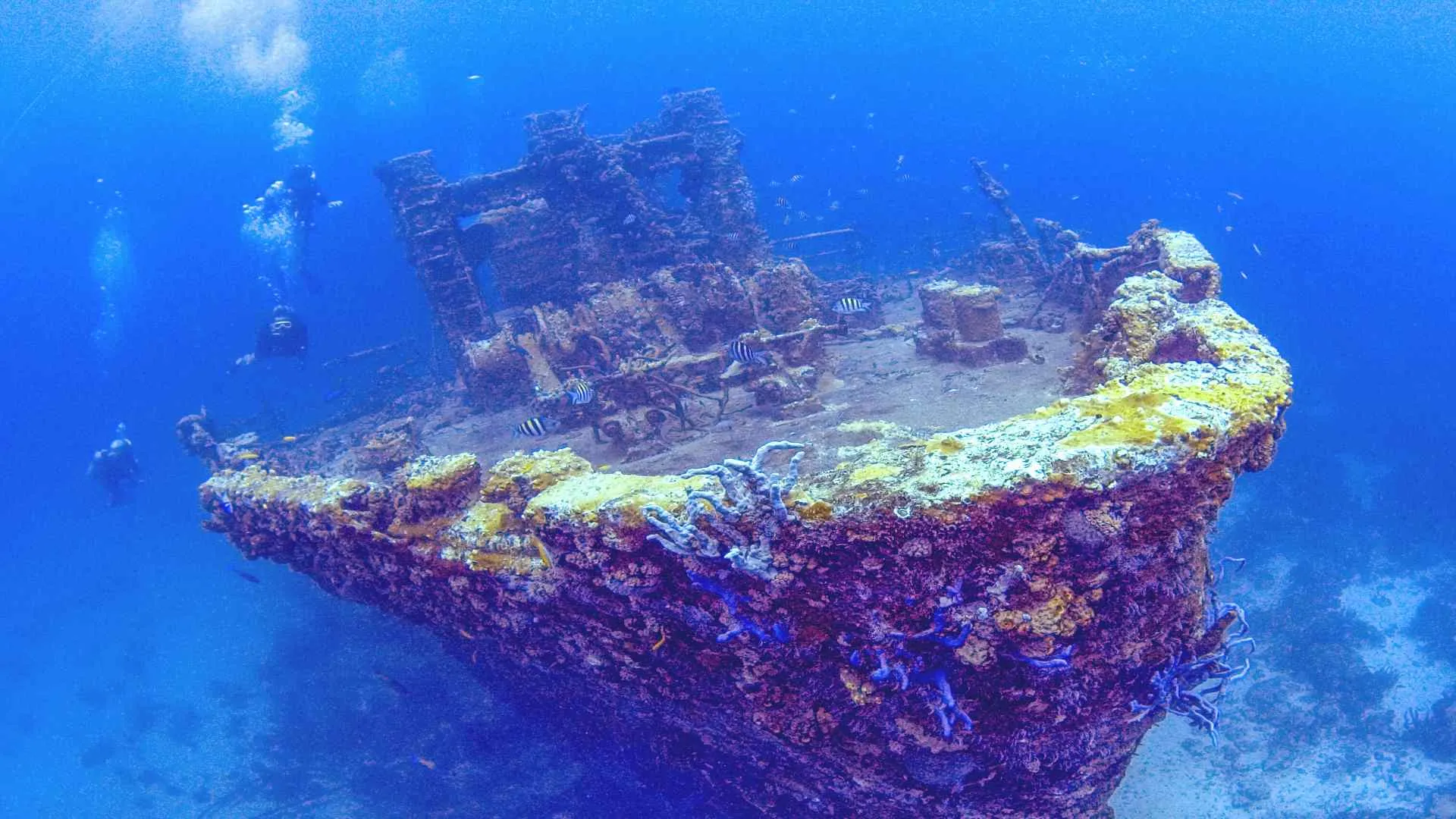 cozumel dive sites (1) C Shipwreck