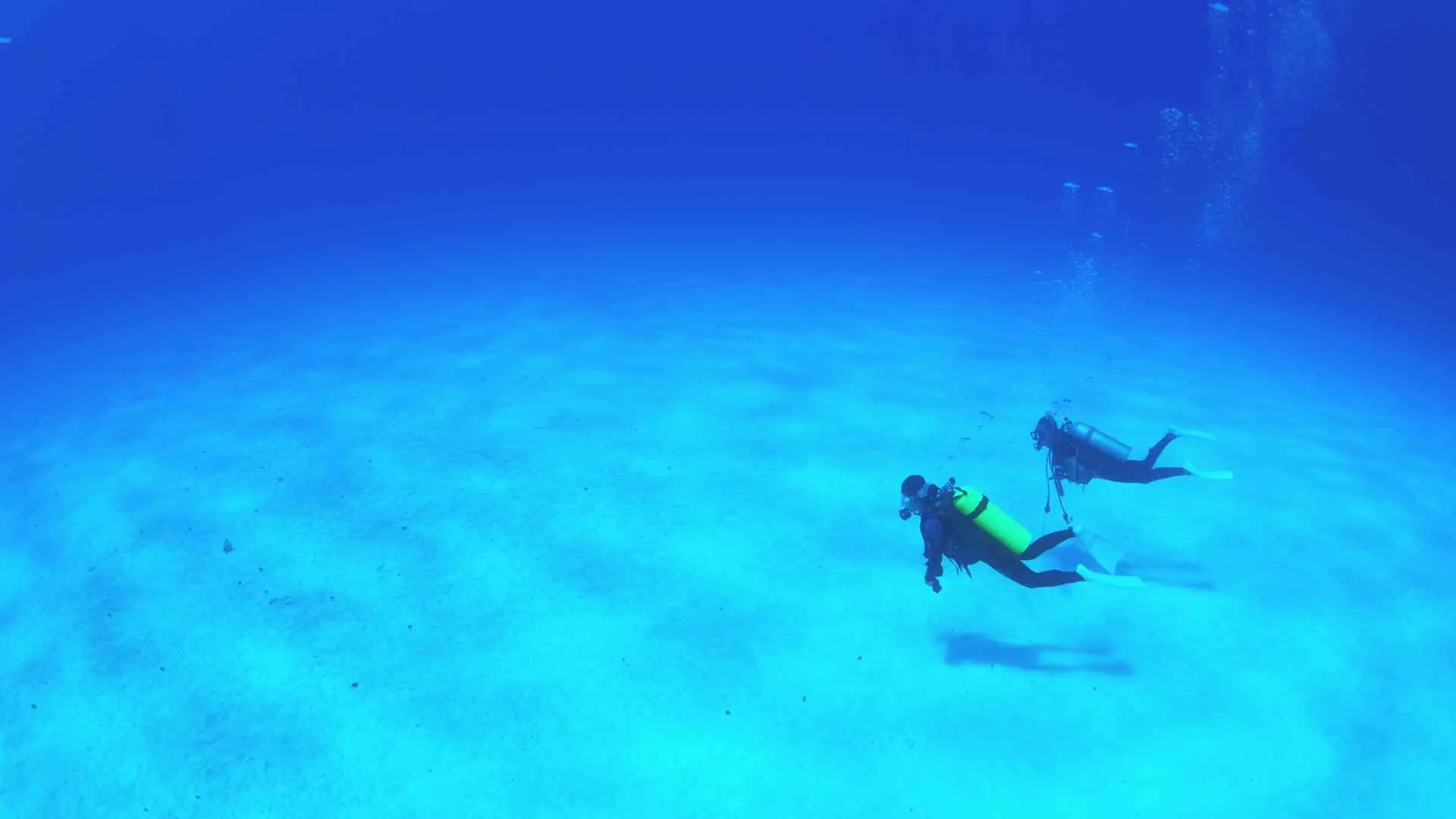 cozumel dive sites (8) cozumel dive sites