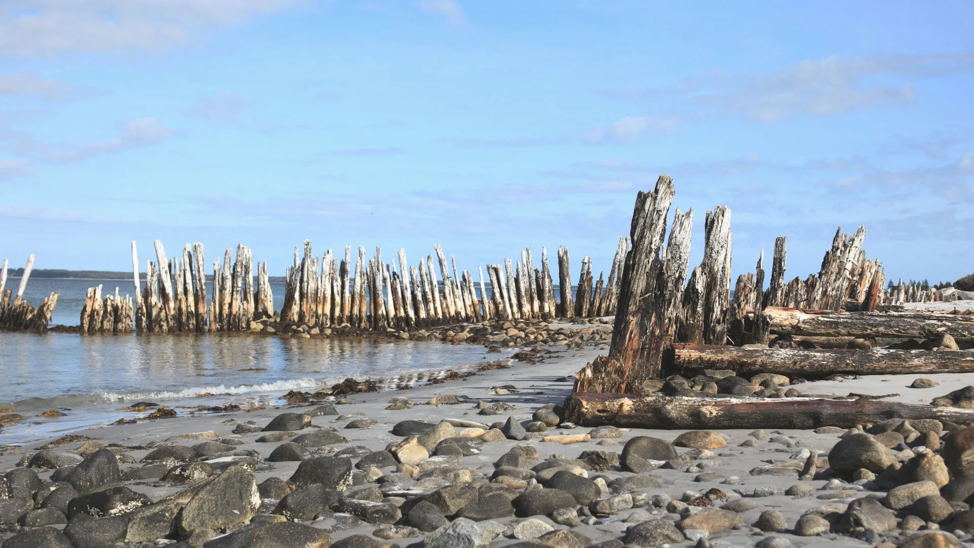 nova scotia-11