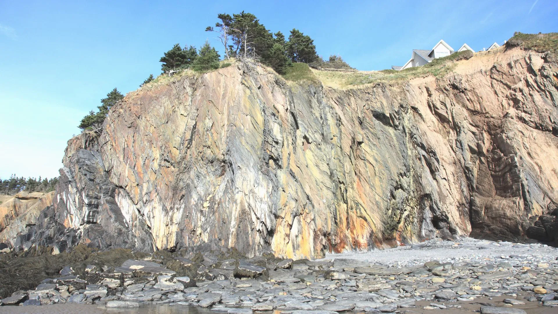 nova scotia-7
