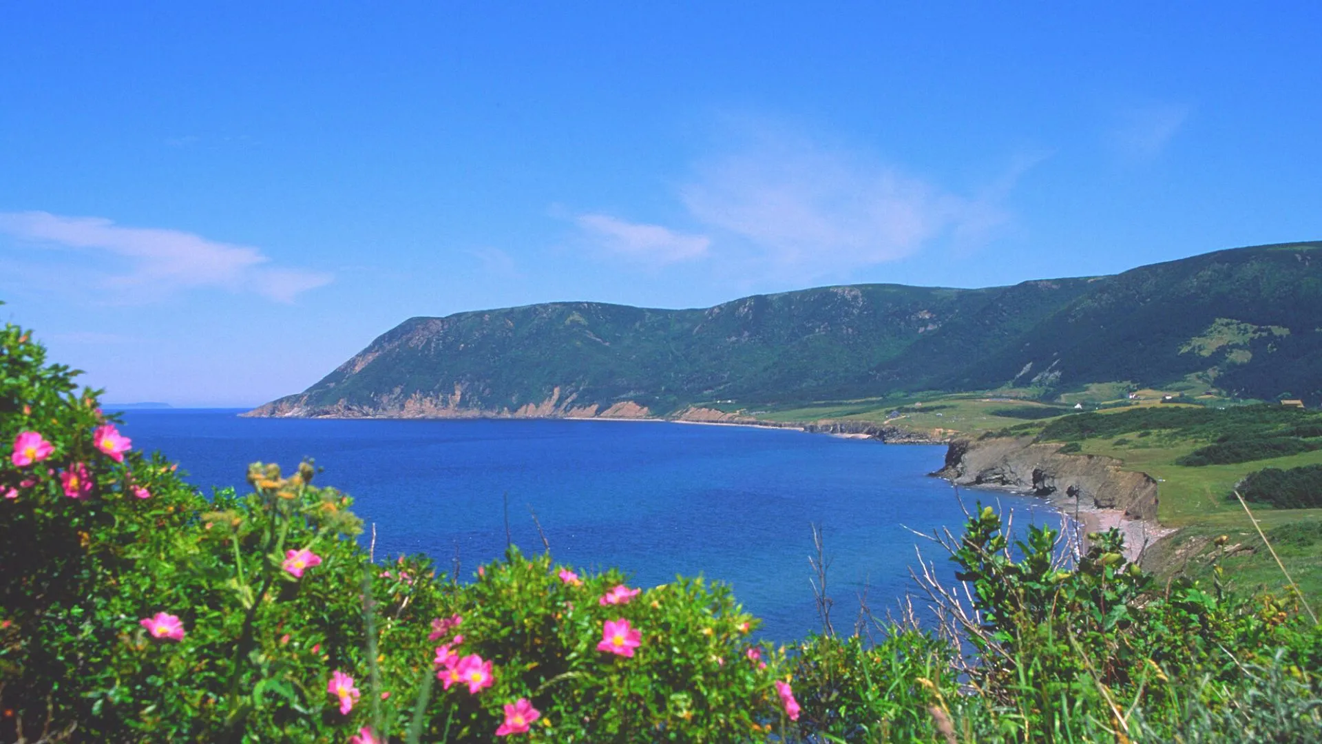 nova scotia-8
