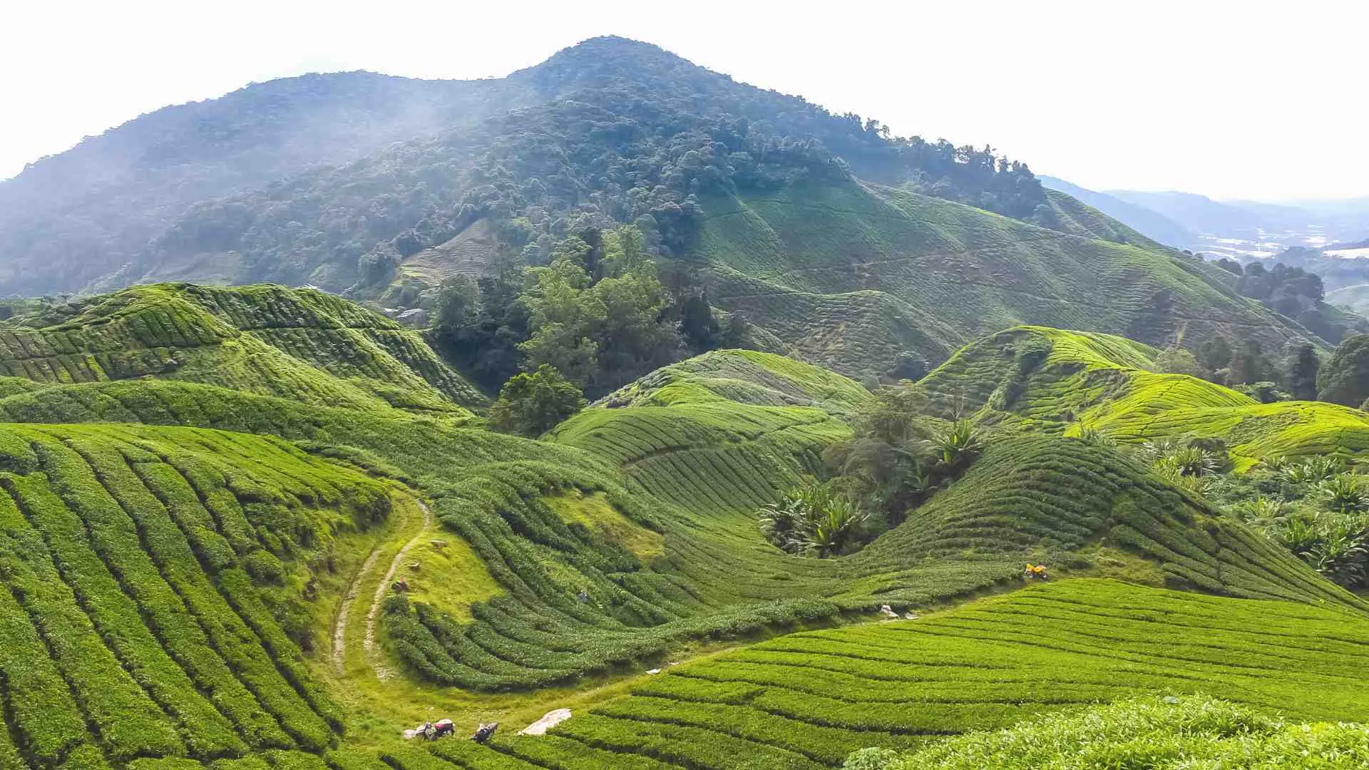weekend getaway Malaysia (4) Ulu Yam