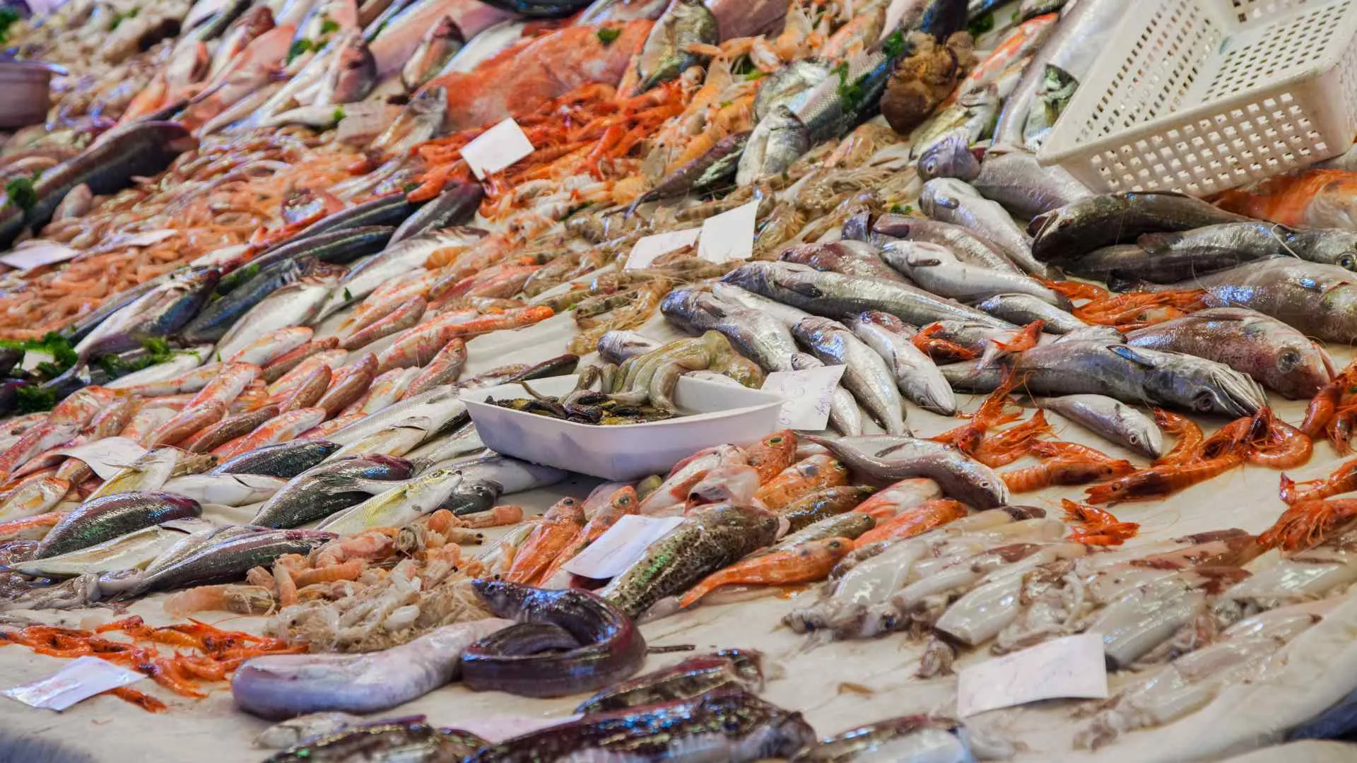 Mercato del Pesce Mercato del Pesce