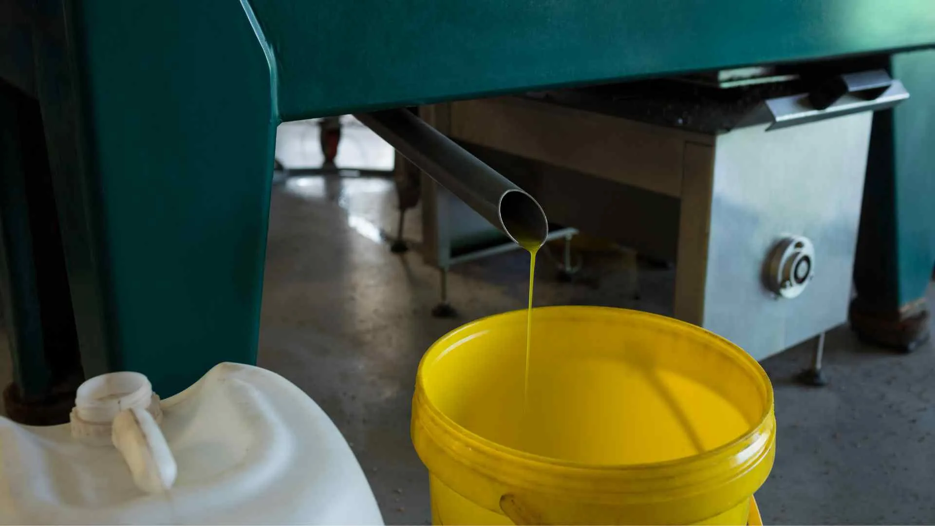 Artisan Olive Oil Producers Artisan Olive Oil Producers