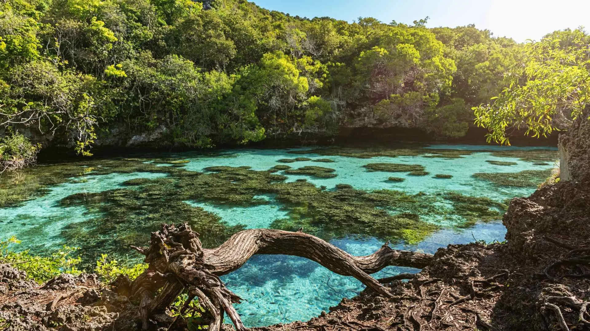 Nouméa, New Caledonia-11