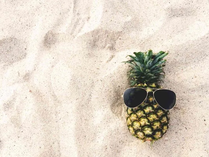 What Does a Pineapple Mean-11