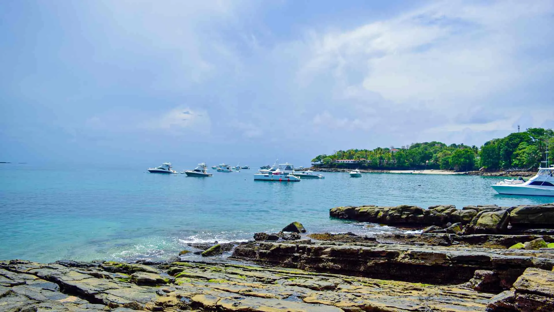 Contadora island-17 Contadora island