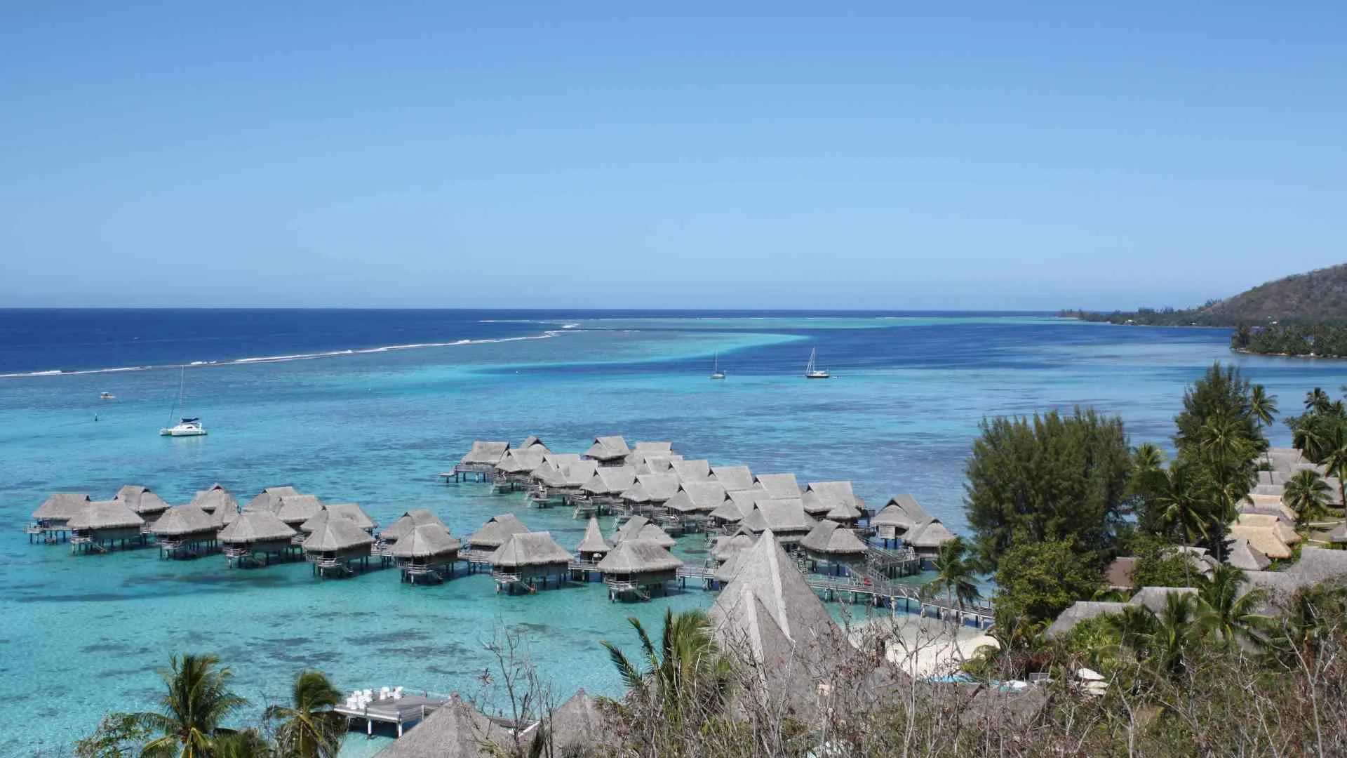 Thatch Caye