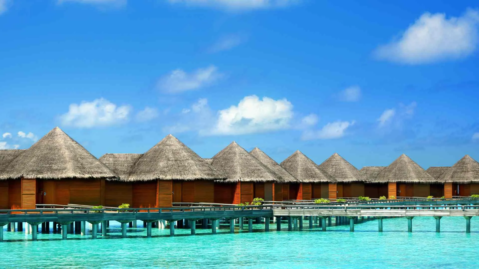 overwater bungalows caribbean-5